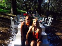 das zu meldende Bild