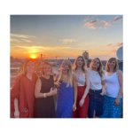 das zu meldende Bild