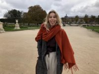 das zu meldende Bild