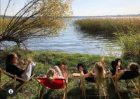 das zu meldende Bild